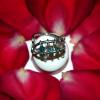 Mermaid Ring 11 Mermaid Ring 11