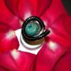 Mermaid Ring 2 Mermaid Ring 2